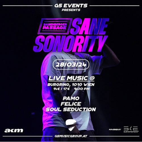 --- G5 presents: SANE SONORITY @ Babenberger Passage